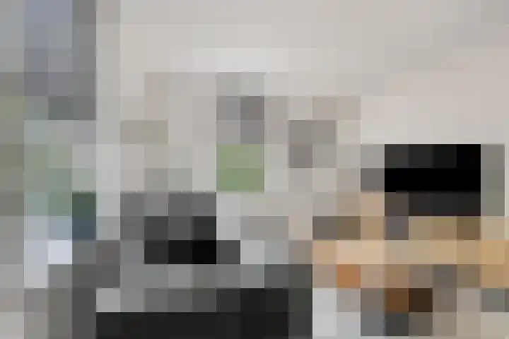Akkerwindestraat 6 Zevenbergen thumbnail 10