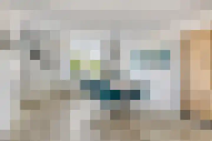 Akkerwindestraat 6 Zevenbergen thumbnail 12