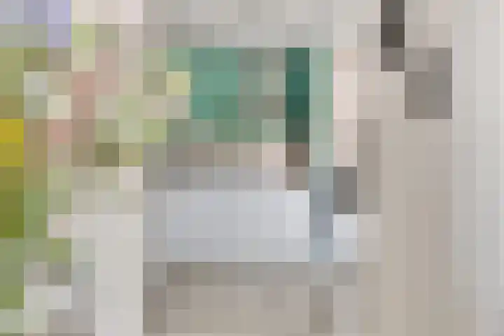 Akkerwindestraat 6 Zevenbergen thumbnail 13