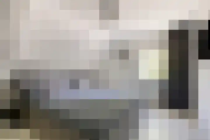 Akkerwindestraat 6 Zevenbergen thumbnail 19