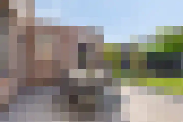 Akkerwindestraat 6 Zevenbergen thumbnail 33