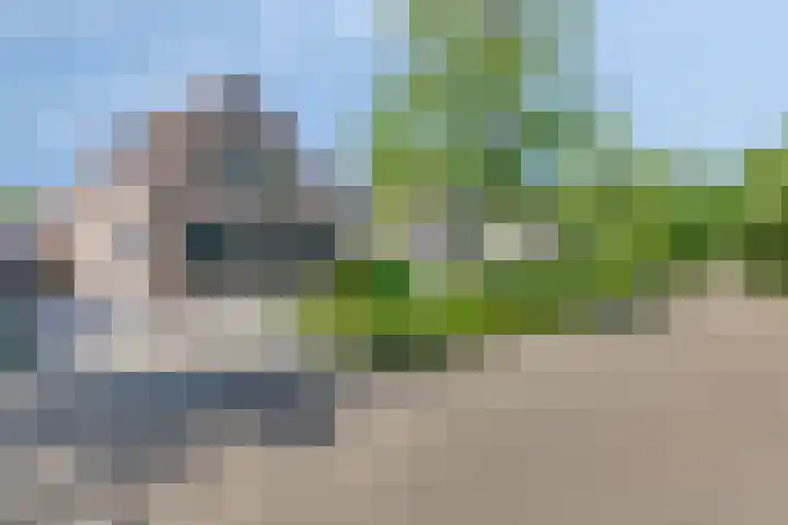 Akkerwindestraat 6 Zevenbergen thumbnail 36