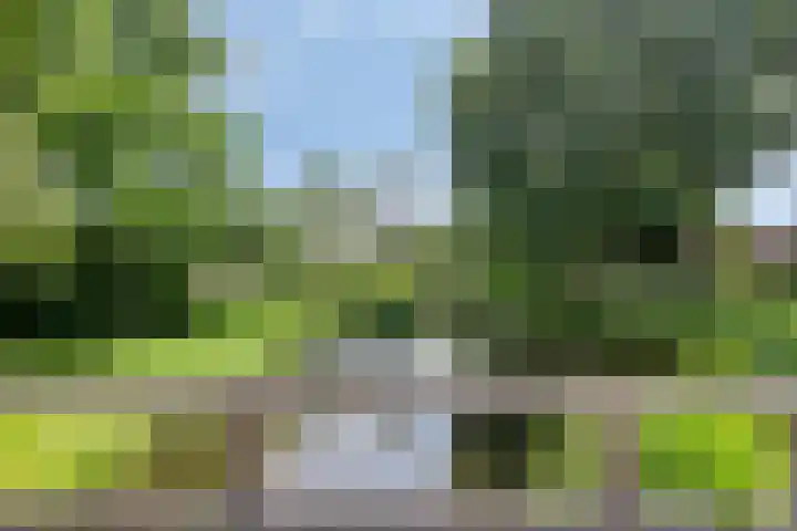 Akkerwindestraat 6 Zevenbergen thumbnail 38