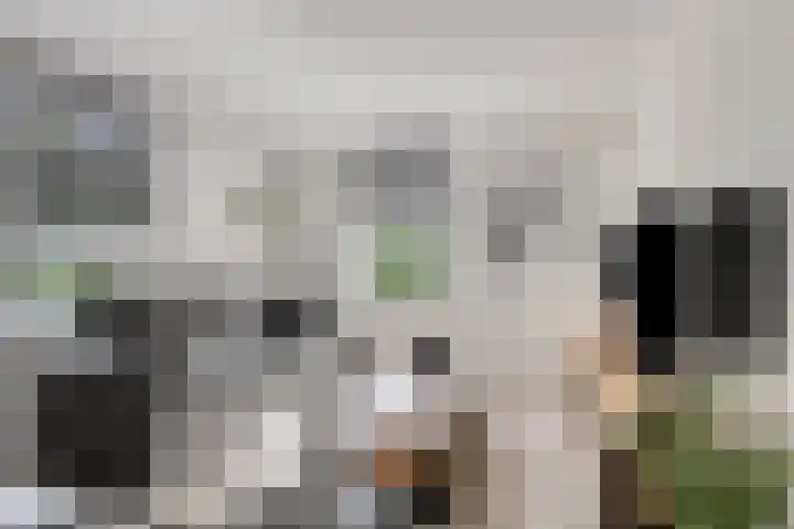 Akkerwindestraat 6 Zevenbergen thumbnail 9