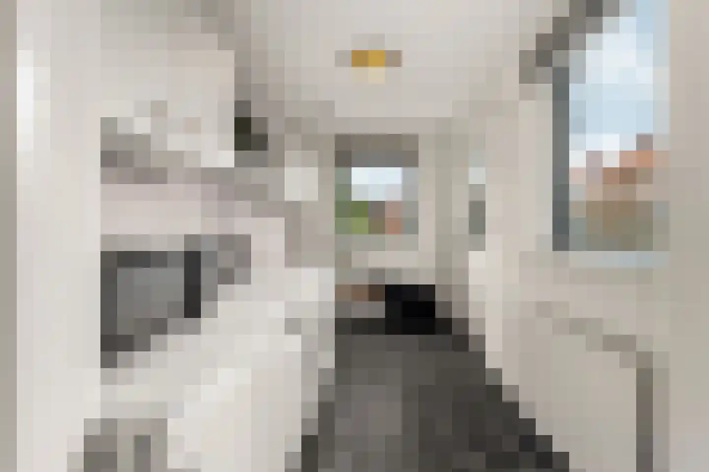 Akkerwindestraat 70 Arnhem thumbnail 12
