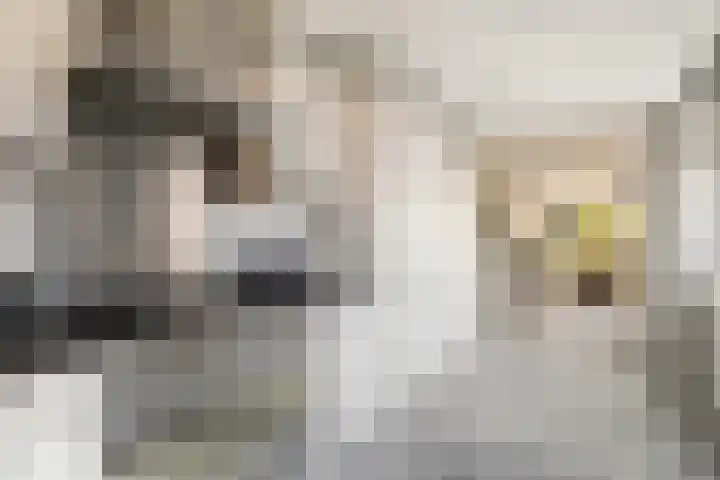 Akkerwindeveld 4 Woerden thumbnail 12