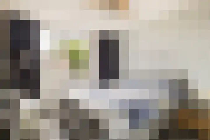 Akkerwindeveld 4 Woerden thumbnail 26