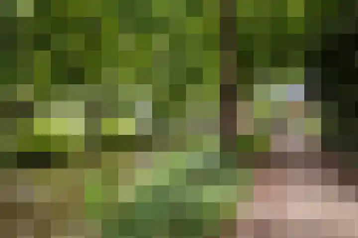 Akkerwindeveld 4 Woerden thumbnail 36