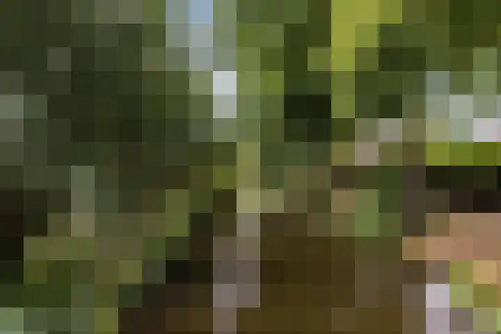 Akkerwindeveld 4 Woerden thumbnail 37
