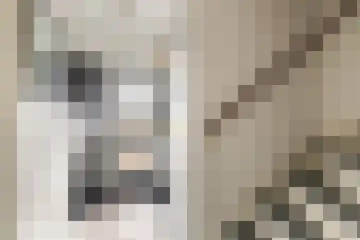 Akkerwindeveld 4 Woerden thumbnail 4
