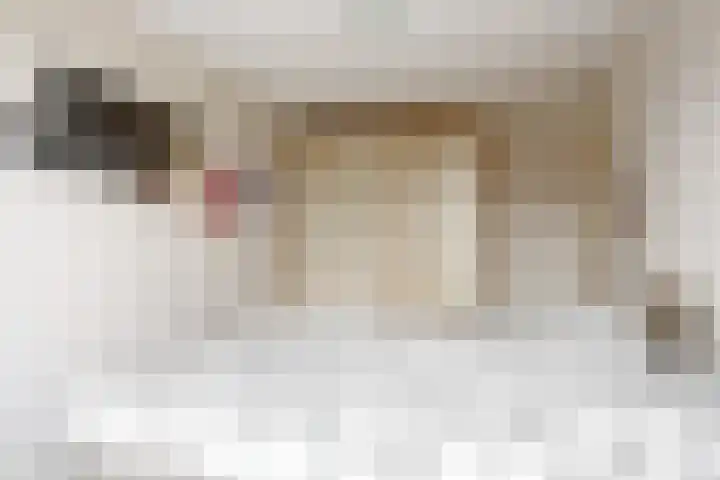 Akkerwindeveld 40 Woerden thumbnail 15