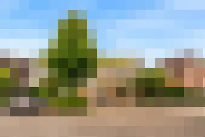 Akkerwindeveld 40 Woerden thumbnail 32
