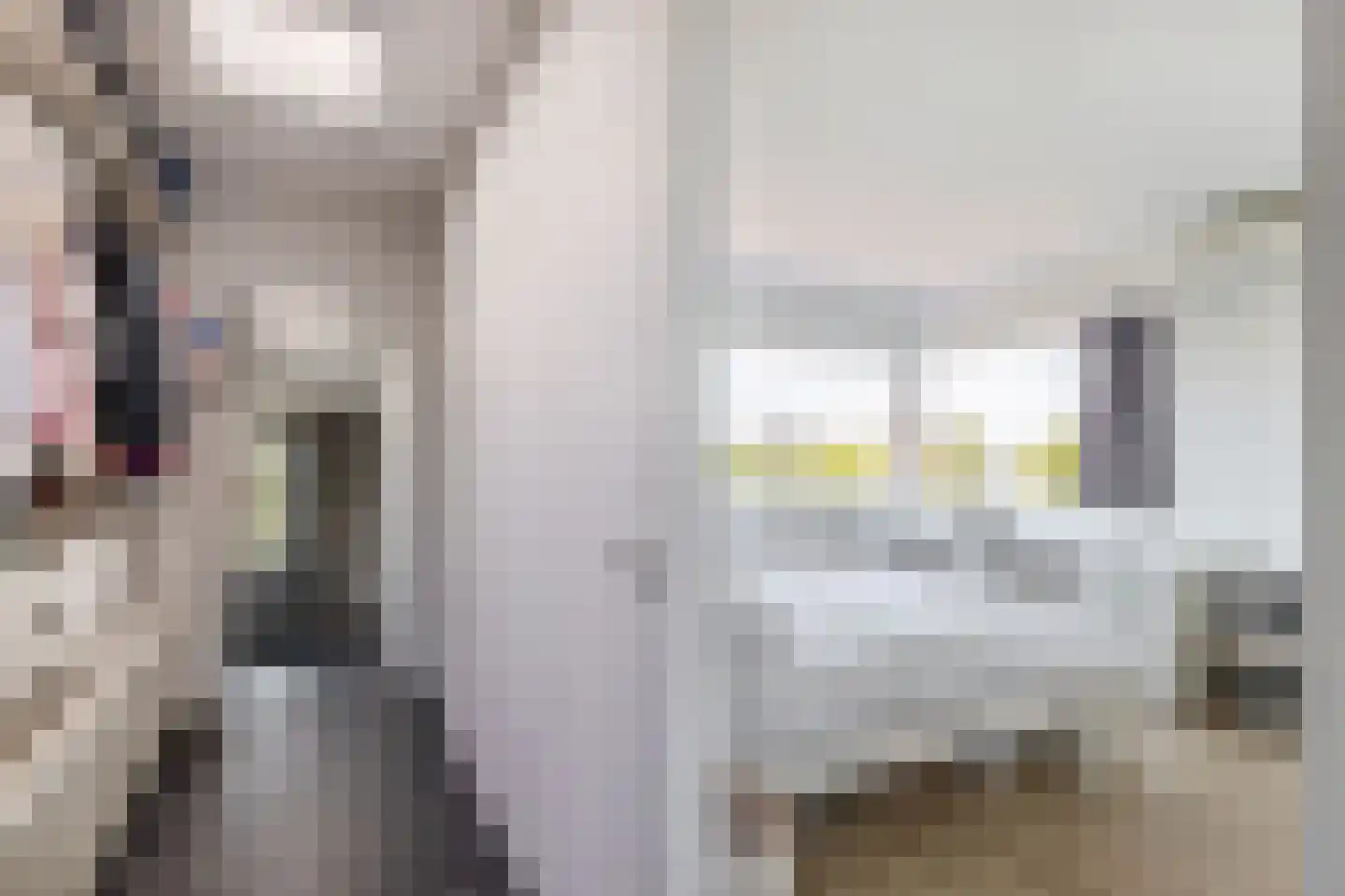 Akkrumerraklaan 102 Utrecht thumbnail 11