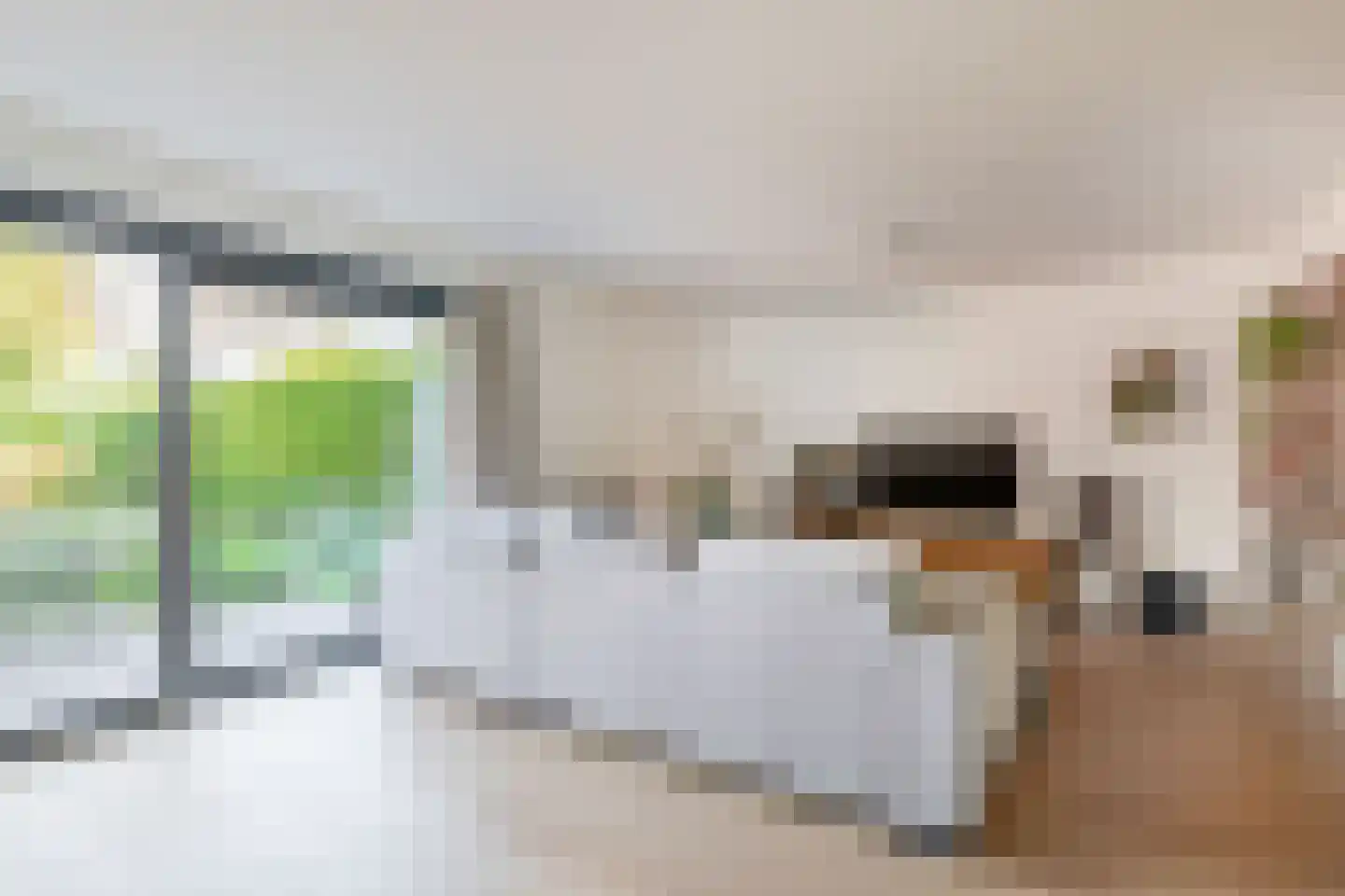 Akkrumerraklaan 102 Utrecht thumbnail 22