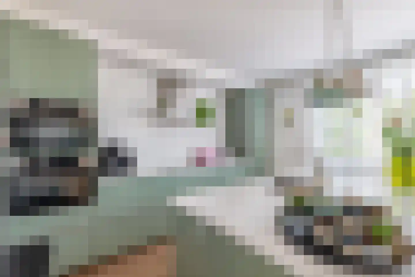 Akkrumerraklaan 102 Utrecht thumbnail 33