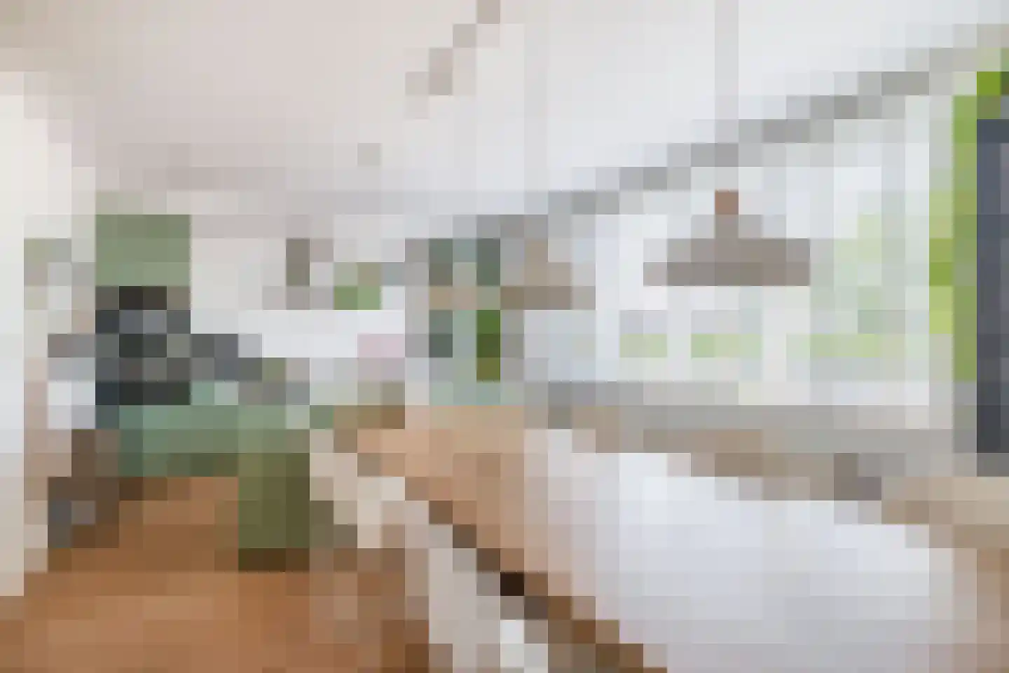 Akkrumerraklaan 102 Utrecht thumbnail 4