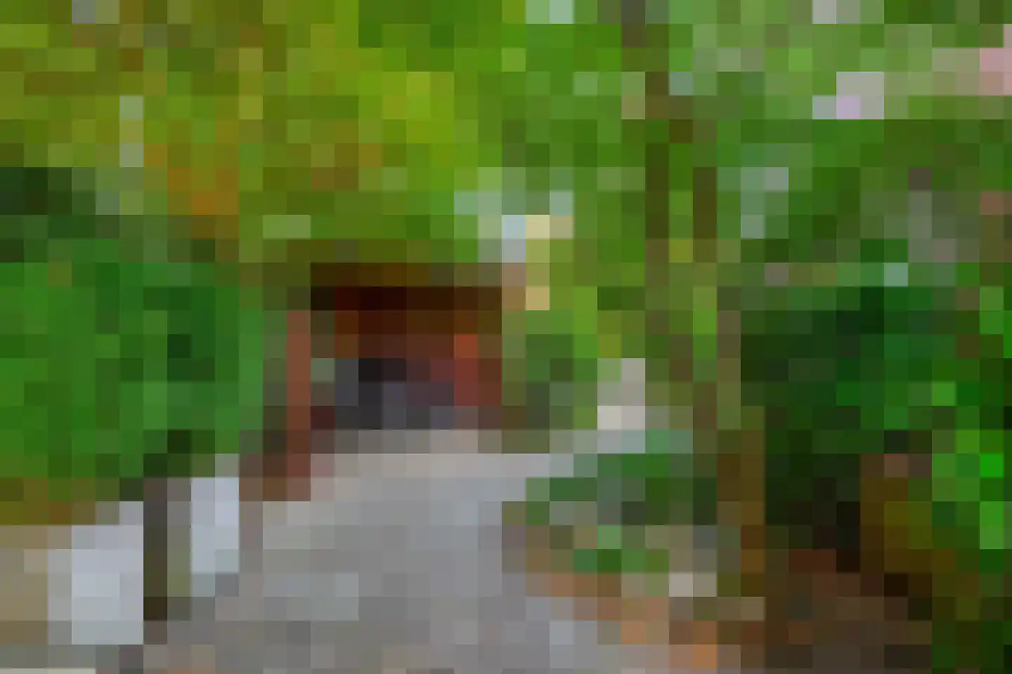 Akkrumerraklaan 102 Utrecht thumbnail 40