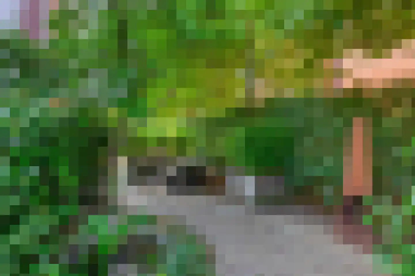 Akkrumerraklaan 102 Utrecht thumbnail 41