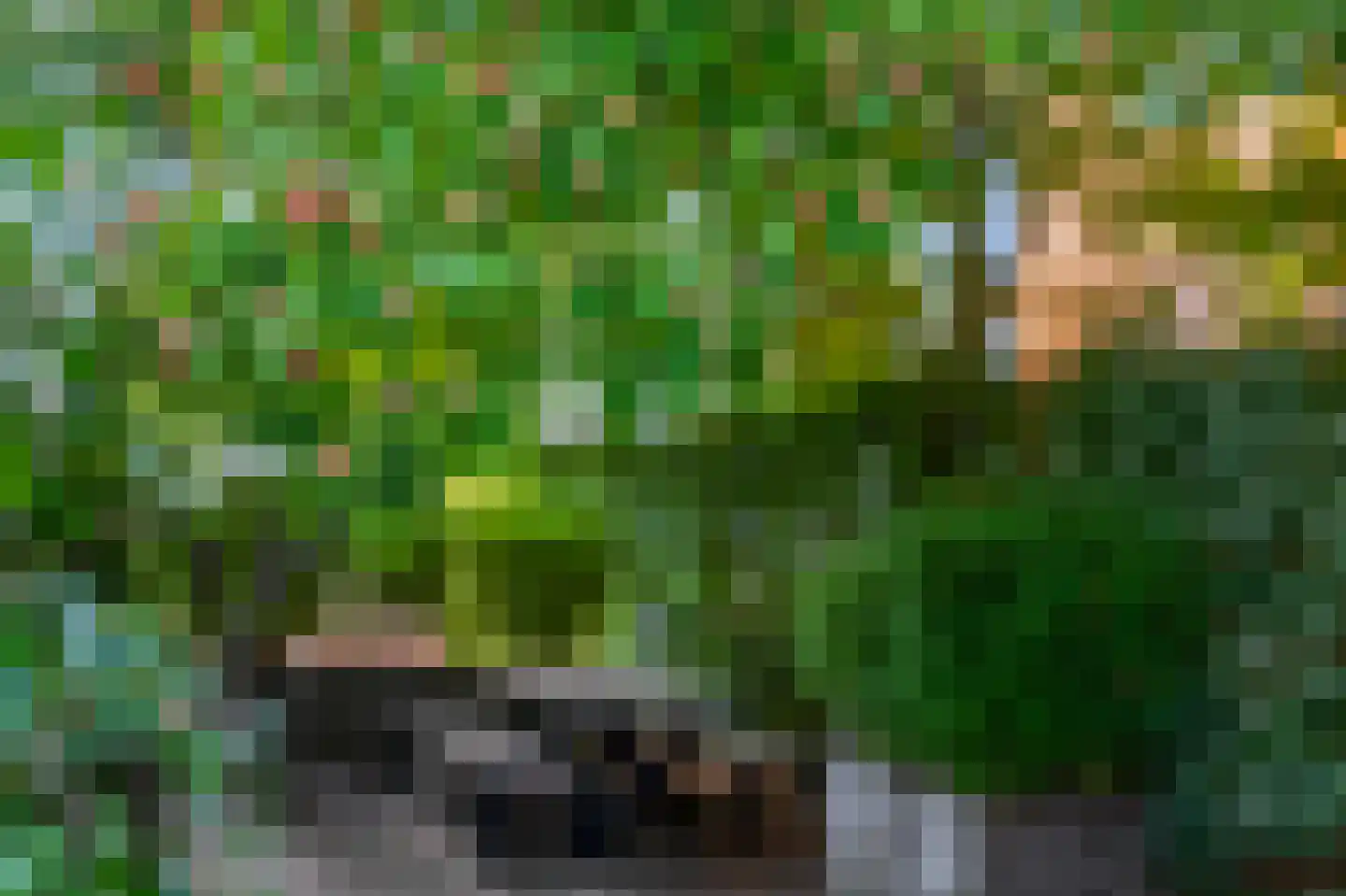 Akkrumerraklaan 102 Utrecht thumbnail 42