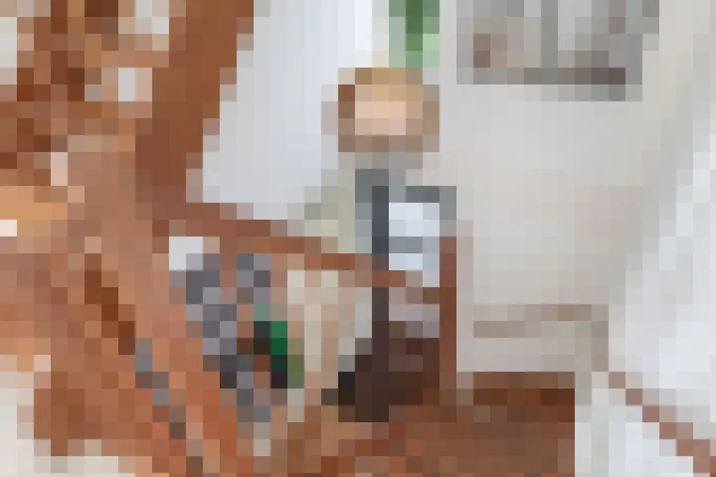 Akkrumerraklaan 102 Utrecht thumbnail 44