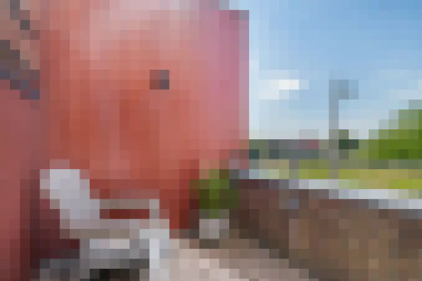 Akkrumerraklaan 102 Utrecht thumbnail 52