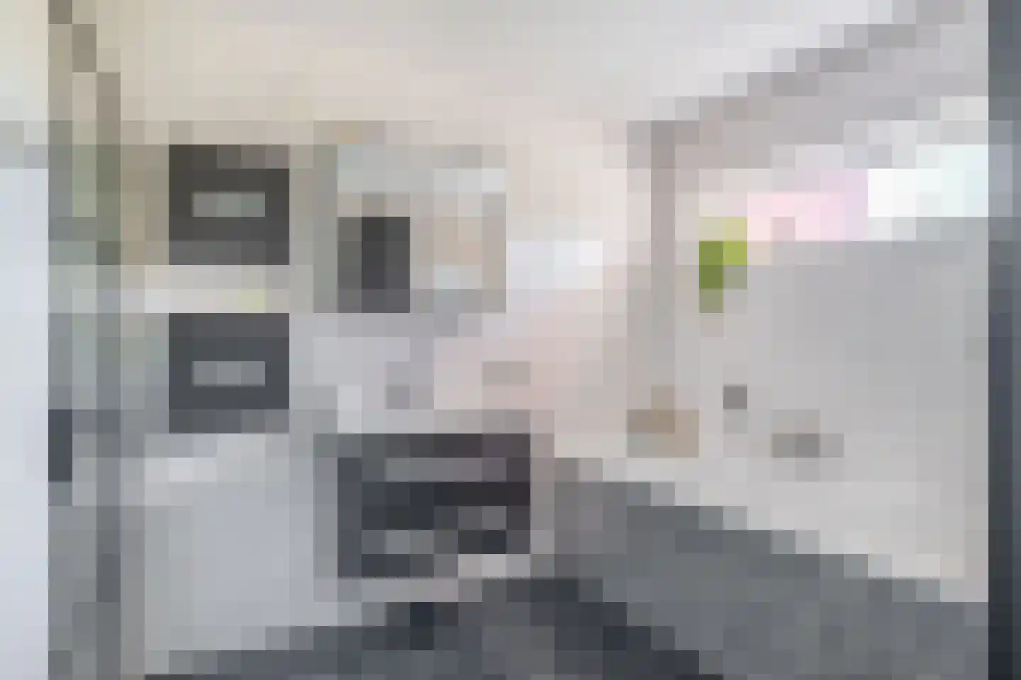 Akkrumerraklaan 102 Utrecht thumbnail 55