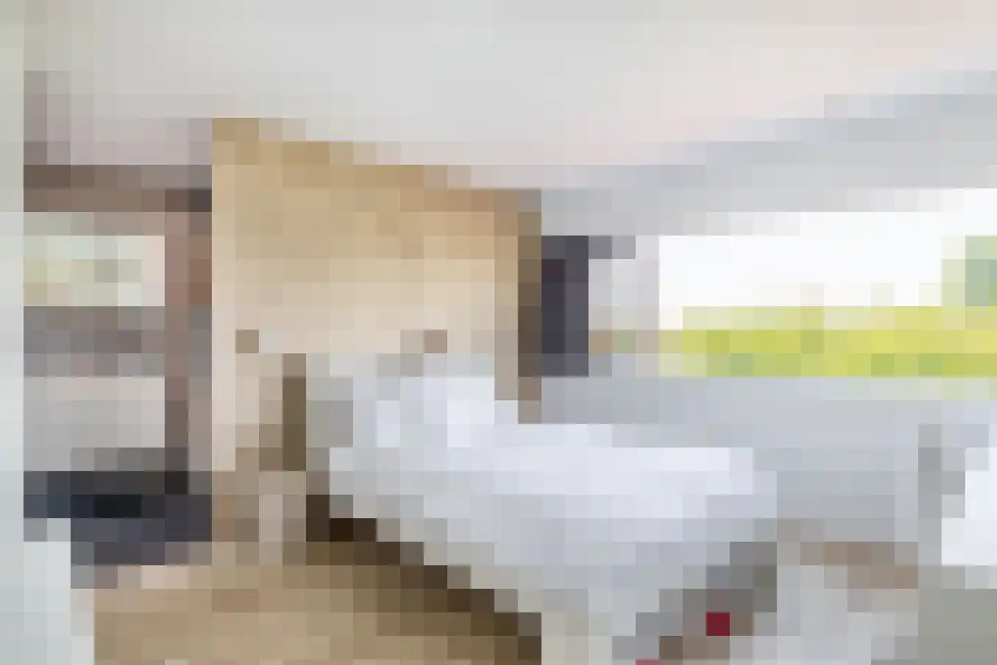Akkrumerraklaan 102 Utrecht thumbnail 62