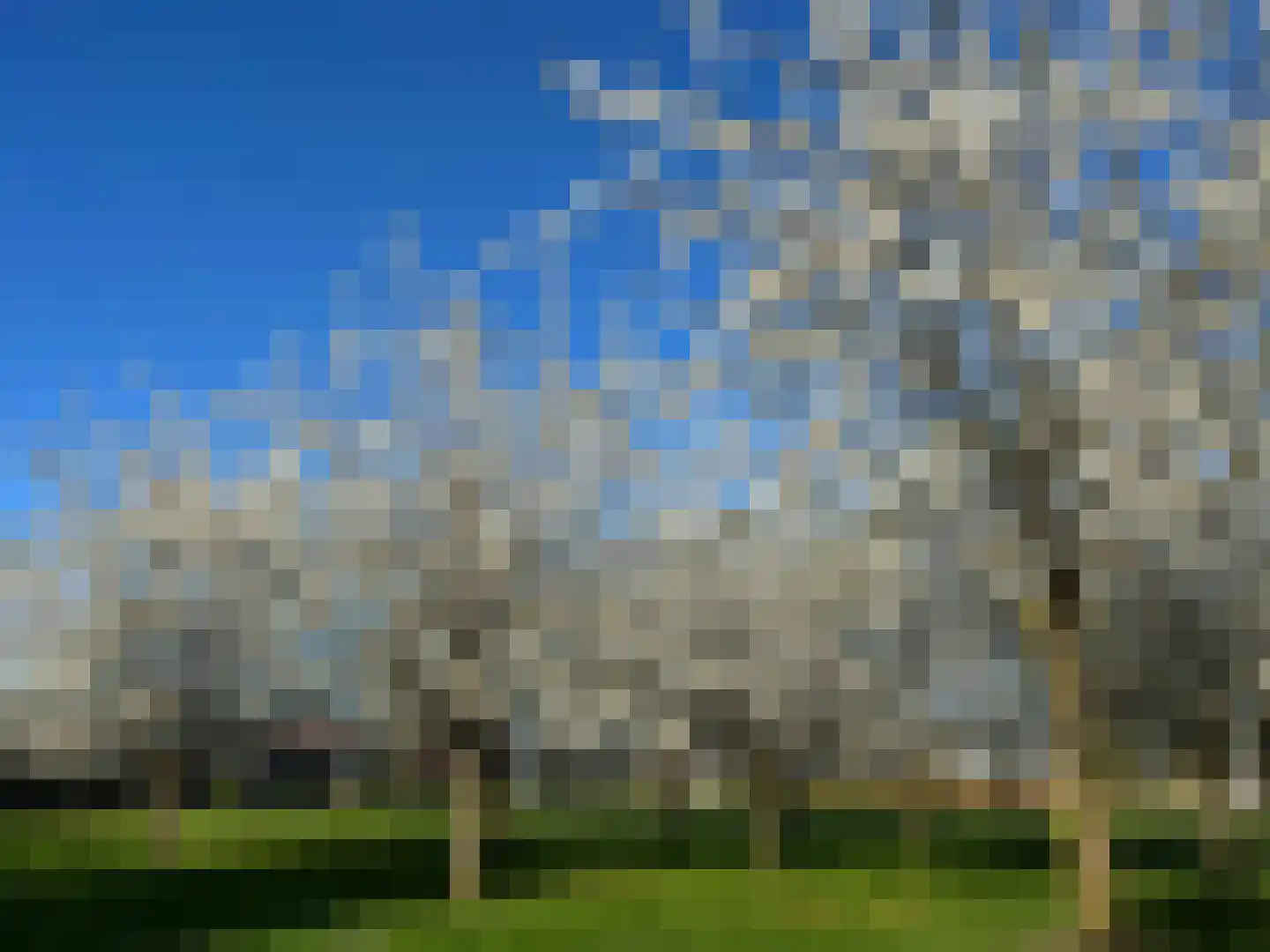 Akkrumerraklaan 102 Utrecht thumbnail 79