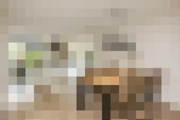 Akkrumerraklaan 144 Utrecht thumbnail 10