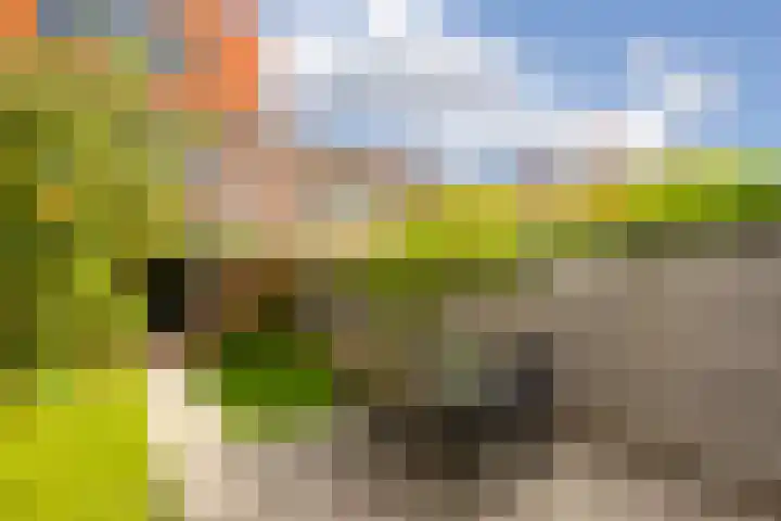 Akkrumerraklaan 144 Utrecht thumbnail 15