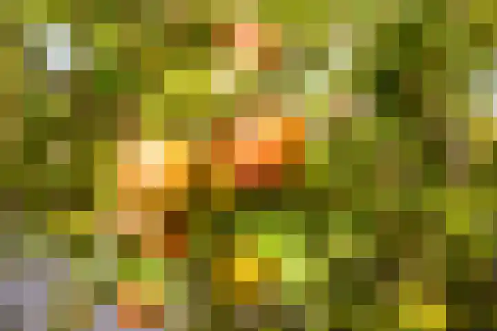 Akkrumerraklaan 144 Utrecht thumbnail 16