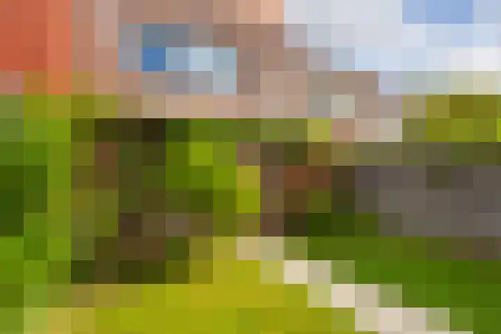 Akkrumerraklaan 144 Utrecht thumbnail 17