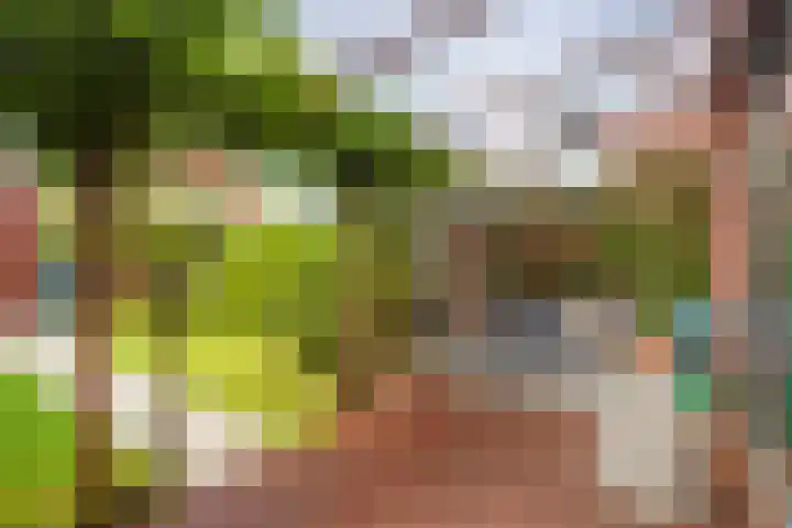 Akkrumerraklaan 144 Utrecht thumbnail 19