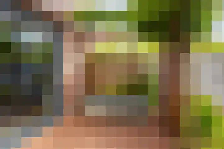 Akkrumerraklaan 144 Utrecht thumbnail 20