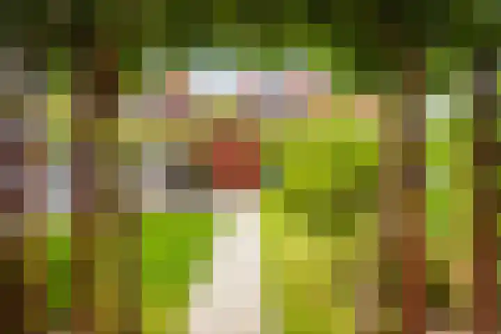 Akkrumerraklaan 144 Utrecht thumbnail 21