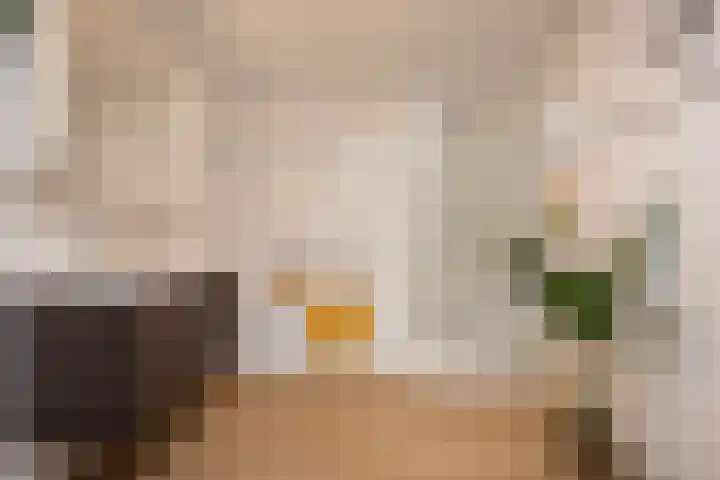 Akkrumerraklaan 144 Utrecht thumbnail 33