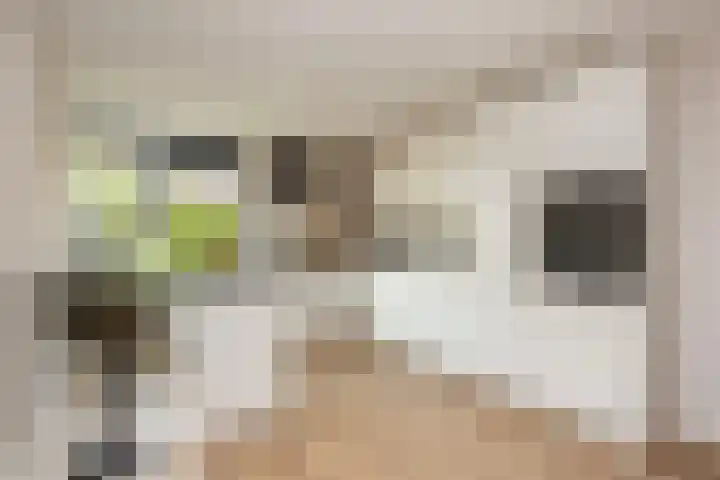 Akkrumerraklaan 144 Utrecht thumbnail 4