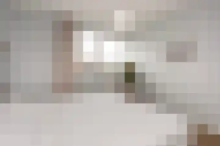 Akkrumerraklaan 144 Utrecht thumbnail 42