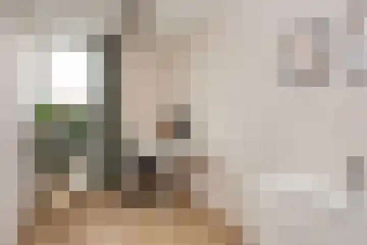 Akkrumerraklaan 144 Utrecht thumbnail 44