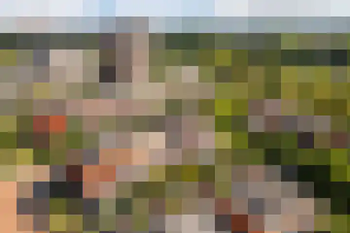 Akkrumerraklaan 144 Utrecht thumbnail 47
