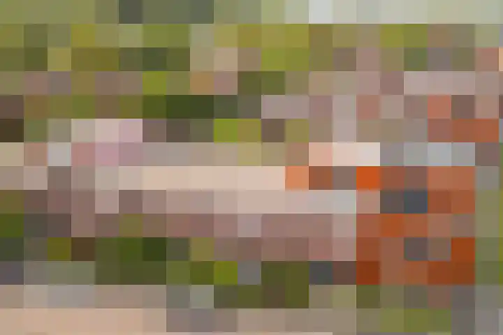 Akkrumerraklaan 144 Utrecht thumbnail 50