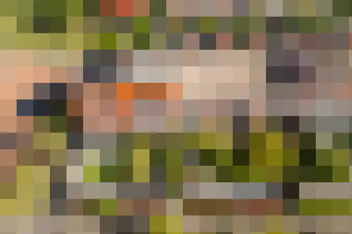 Akkrumerraklaan 144 Utrecht thumbnail 51