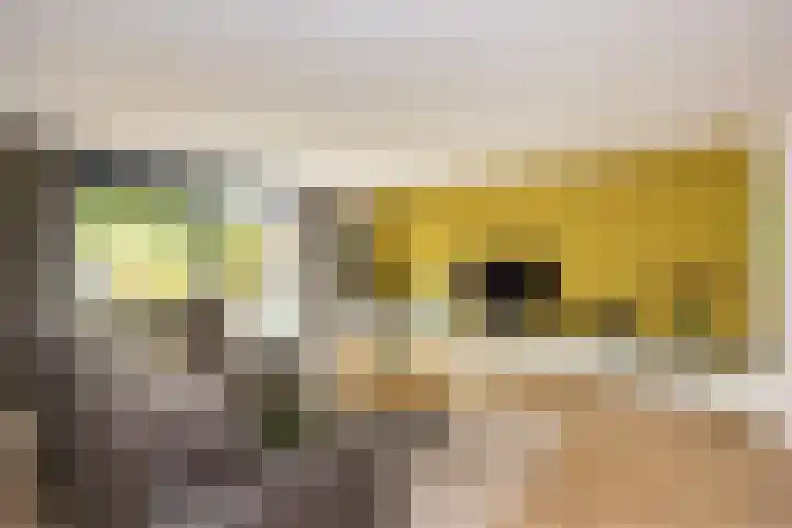 Akkrumerraklaan 144 Utrecht thumbnail 7