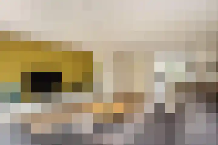Akkrumerraklaan 144 Utrecht thumbnail 8