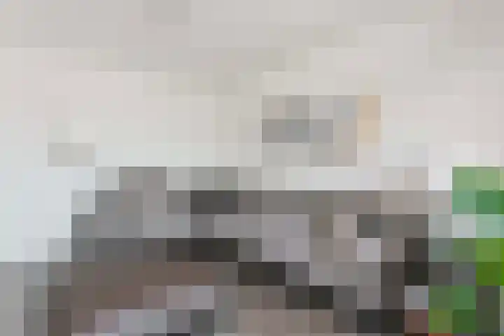 Akkrumerraklaan 92 Utrecht thumbnail 16