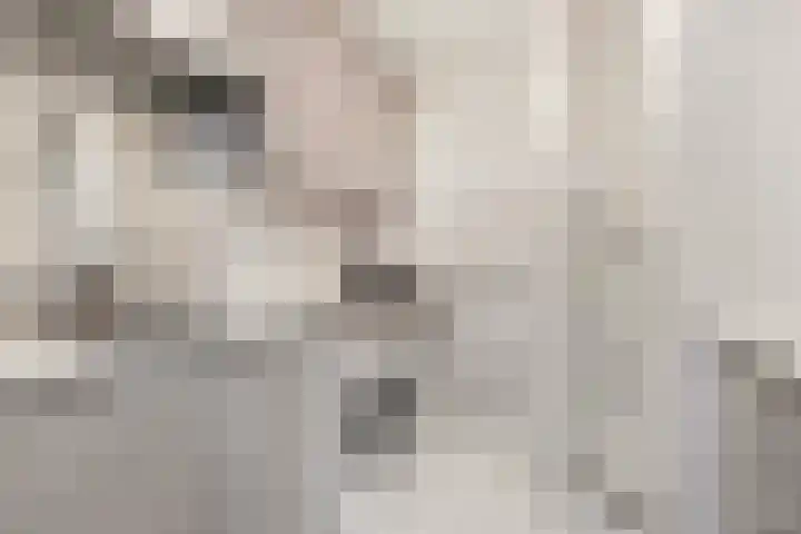 Akkrumerraklaan 92 Utrecht thumbnail 36