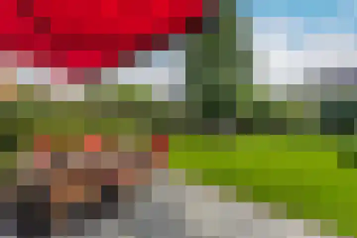 Akkrumerraklaan 92 Utrecht thumbnail 37