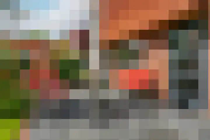 Akkrumerraklaan 92 Utrecht thumbnail 39