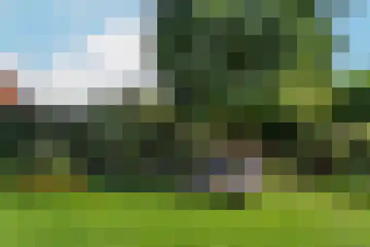 Akkrumerraklaan 92 Utrecht thumbnail 41