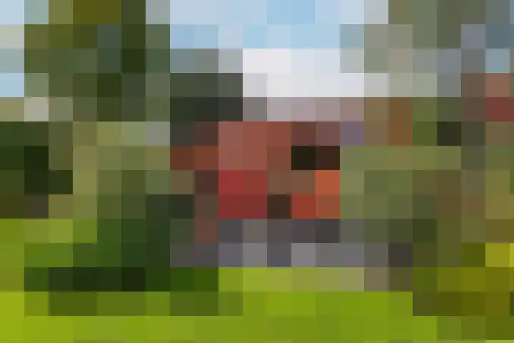 Akkrumerraklaan 92 Utrecht thumbnail 42